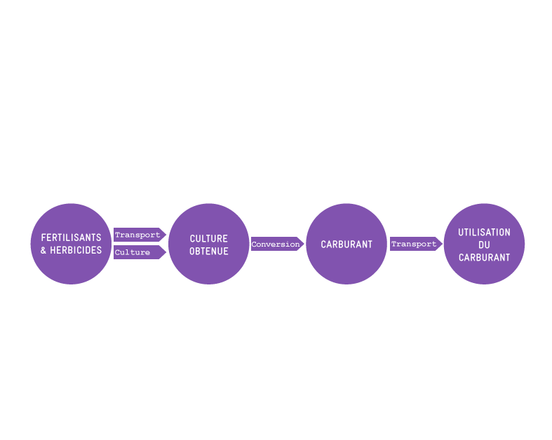Schéma simplifié du cycle de vie d'un biocarburant